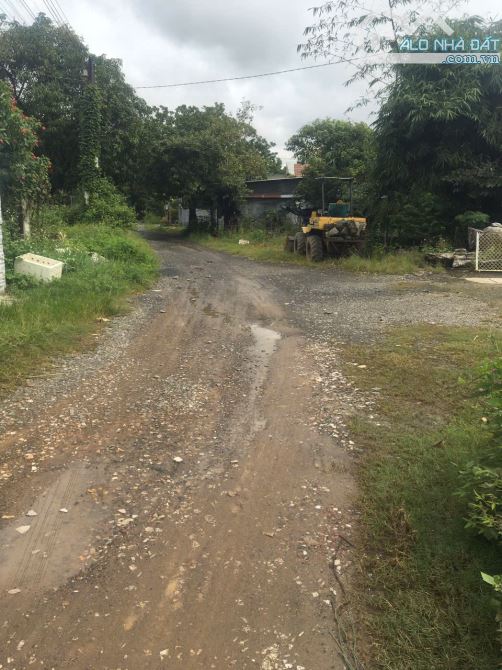 BÁN ĐẤT 1 SẸC QUỐC LỘ 20 8433M2 KHU DÂN CƯ CÁCH QUỐC LỘ 20 CHỈ 800M GIÁ RẺ 4TỶ5 - 1