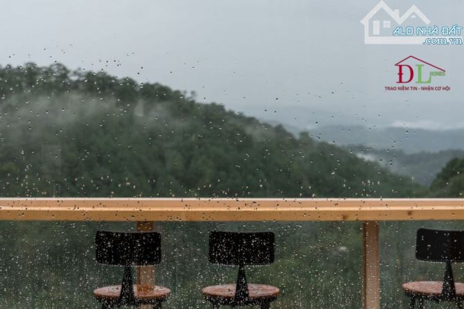 2348 🏞⛺️🏡 ĐẤT MẶT TIỀN HOÀNG HOA THÁM - VIEW THUNG LŨNG RỪNG THÔNG CỰC ĐẸP - SẴN 600 XD - 13