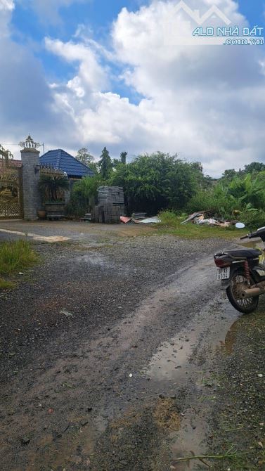 BÁN ĐẤT 1 SẸC QUỐC LỘ 20 8433M2 KHU DÂN CƯ CÁCH QUỐC LỘ 20 CHỈ 800M GIÁ RẺ 4TỶ5 - 2