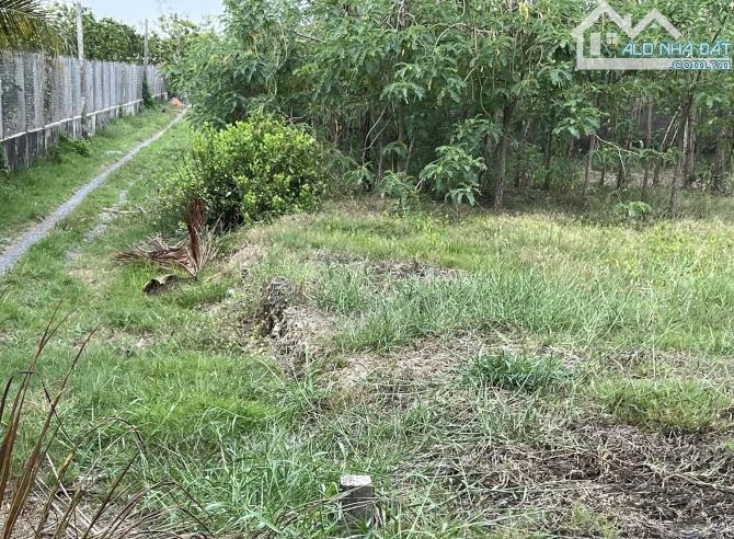 💎 Bán đất (8.2 x 28m) đường nhựa xe hơi, Khu phố 6, Thị trấn Vình Bình, Gò Công Tây, TG - 3