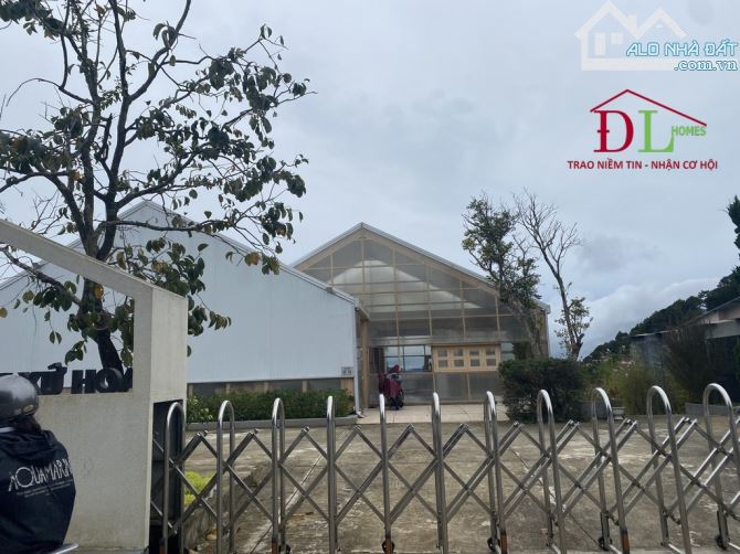 2348 🏞⛺️🏡 ĐẤT MẶT TIỀN HOÀNG HOA THÁM - VIEW THUNG LŨNG RỪNG THÔNG CỰC ĐẸP - SẴN 600 XD - 3