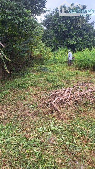 BÁN ĐẤT 1 SẸC QUỐC LỘ 20 8433M2 KHU DÂN CƯ CÁCH QUỐC LỘ 20 CHỈ 800M GIÁ RẺ 4TỶ5 - 3