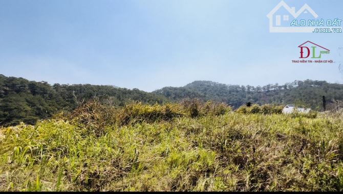 3001 🏞⛺️🏡 ĐẤT HOÀNG HOA THÁM - DT 12.501M2 SẴN 801M2 XD - VIEW ĐẸP - ĐƯỜNG QUY HOẠCH 12M - 4
