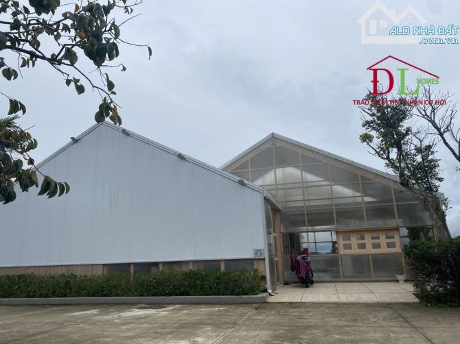 2348 🏞⛺️🏡 ĐẤT MẶT TIỀN HOÀNG HOA THÁM - VIEW THUNG LŨNG RỪNG THÔNG CỰC ĐẸP - SẴN 600 XD - 4