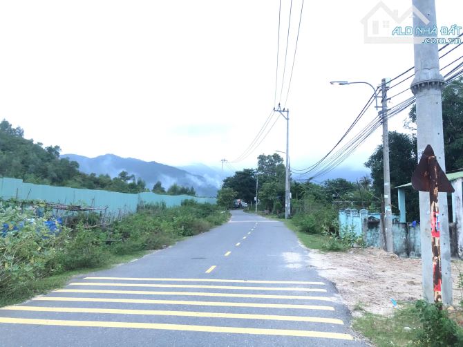 Bán 376m2 Đất đường kiệt 2m Ngô Xuân Thu giá chỉ 7tr/m2 – Hòa Hiệp Bắc – Liên Chiểu - 5