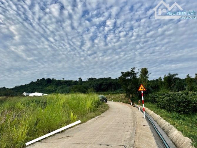 ✨ 1.011m2 View Sông (100m2 ONT), Ngang 12M Nở Hậu. Đường BÊ TÔNG thông (QHLG: 20M) - 670Tr - 1