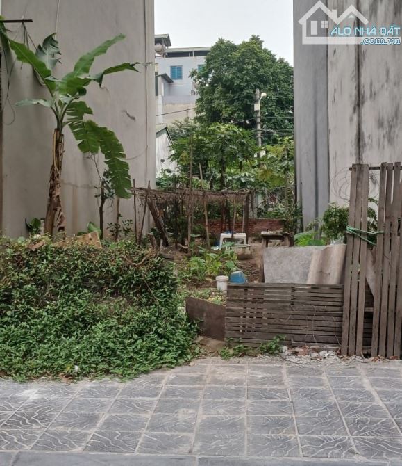 🔥 SỞ HỮU NGAY THỬA ĐẤT VÀNG 110M2 MẶT PHỐ NGÔ GIA TỰ – LONG BIÊN, CHỈ 20.5 TỶ! 🔥 - 1