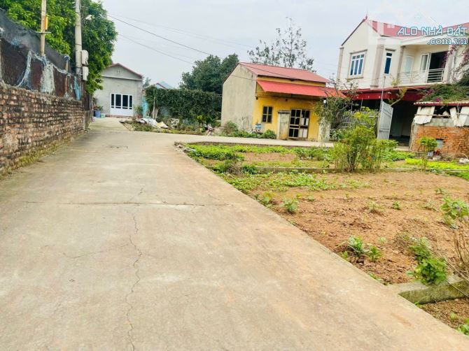 Bán đất Liên Nghĩa Văn Giang Hưng Yên 130m² giá 30tr/m². - 2