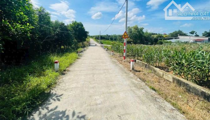 BÁN VƯỜN MÍT SAI QUẢ,VIEW SUỐI NƯỚC QUANH NĂM, CÁCH SUỐI RAO-PHƯỚC TÂN HƠN 1KM,GIÁ SIÊU RẺ - 3