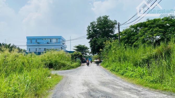 Bán đất Phú Hữu đường Nguyễn Duy Trinh Quận 9 gần cầu Xây Dựng (615m2) 36.5 tr/m2 - 3