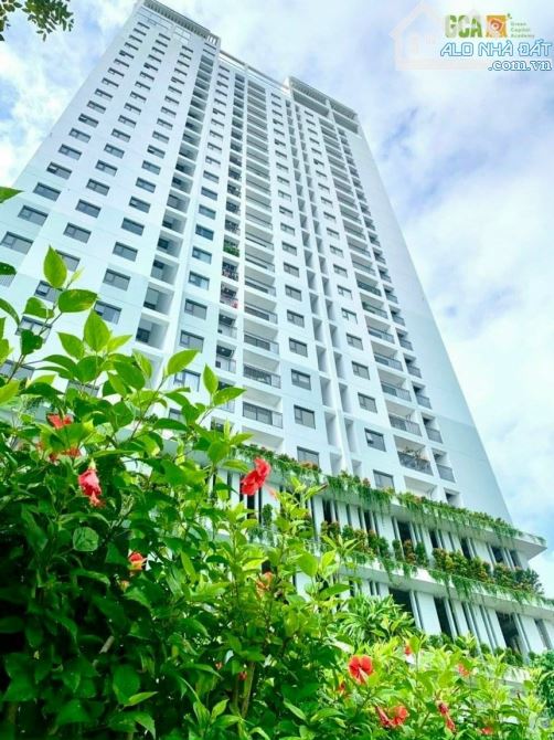 Cho Thuê Căn Hộ Ecolife Quy Nhơn – 2PN, Full Nội Thất, Giá Chỉ 5,5 Triệu/Tháng - 6