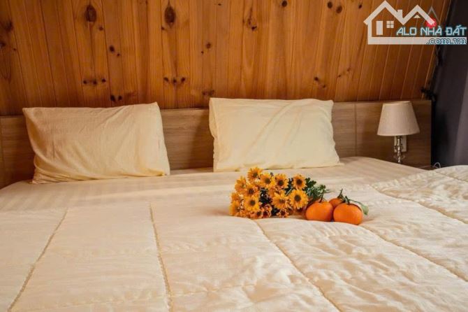 🅿️❇️BÁN HOMESTAY NGHỈ DƯỠNG, VỚI 1 NHÀ YẾN, TẠI EAKAO HẺM Y WANG, 16,5 TỶ, 3.589,4M2❇️ - 11