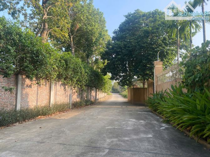 Chủ cần bán lô đất 1341m-300tc ngoài quy hoạch, xung quanh hàng xóm biệt thự làng hà nội - 3