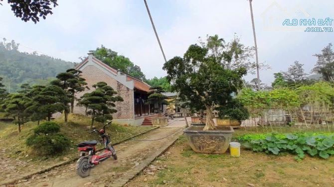 Chủ gửi bán lô đất thổ cư bám hồ chạm tay to đẹp nhất đông xuân, mặt đường tỉnh lộ 446 - 3