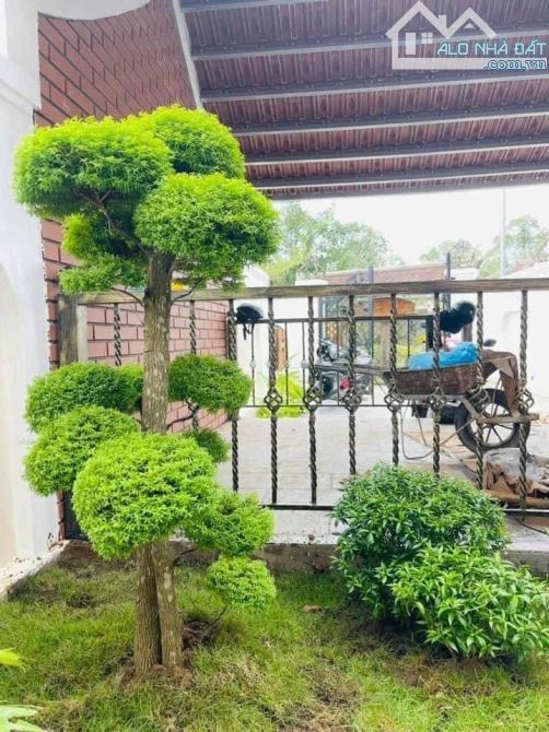 Nhà villa mini gần Lê Ngô Cát, Huế - 3