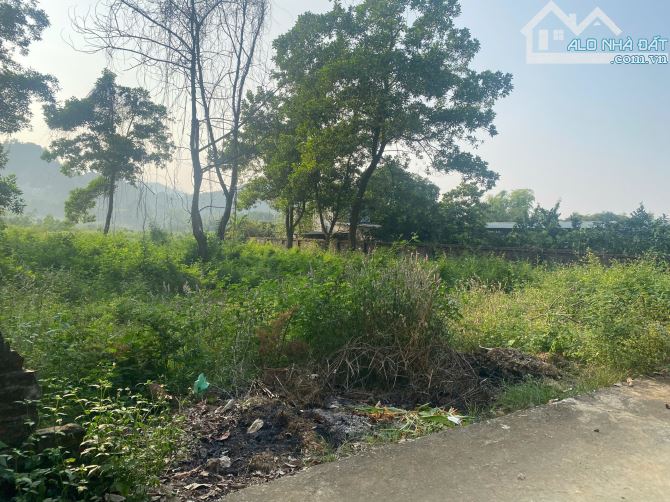 Chủ cần bán lô đất 1341m-300tc ngoài quy hoạch, xung quanh hàng xóm biệt thự làng hà nội - 4