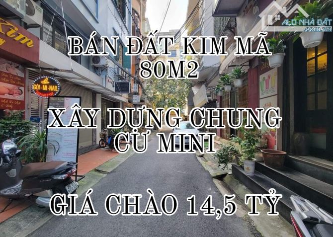 CHỦ MUỐN BÁN ĐẤT KIM MÃ TRUNG TÂM BA ĐÌNH 80M2-GIÁ CHÀO 14,5 TỶ-THƯƠNG LƯỢNG