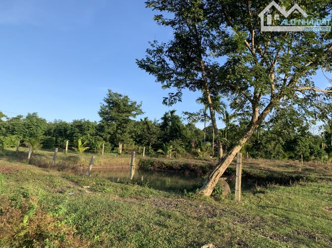 2,4 sào TC400m2 view ruộng sau lưng trường Nơ Trang Long EaTieu 1,2 tỷ sẵn hồ cá