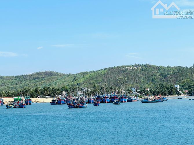 ĐẤT THỔ CƯ MẶT TIỀN LÊ PHI HÙNG, NGAY BIỂN TAM QUAN BẮC, 140M2, GIÁ CHỈ 900 TRIỆU - 7