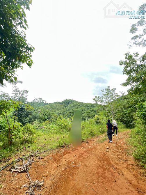 Chỉ 500 triệu, lô 1000m, lô góc 2 mặt tiền tại Yên Nghiệp, gần hồ, gần đường HCM, ô tô vào - 1