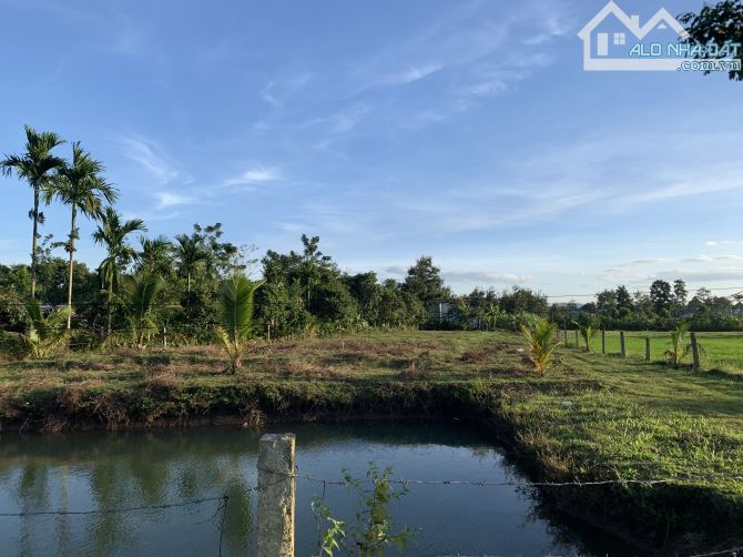 2,4 sào TC400m2 view ruộng sau lưng trường Nơ Trang Long EaTieu 1,2 tỷ sẵn hồ cá - 1