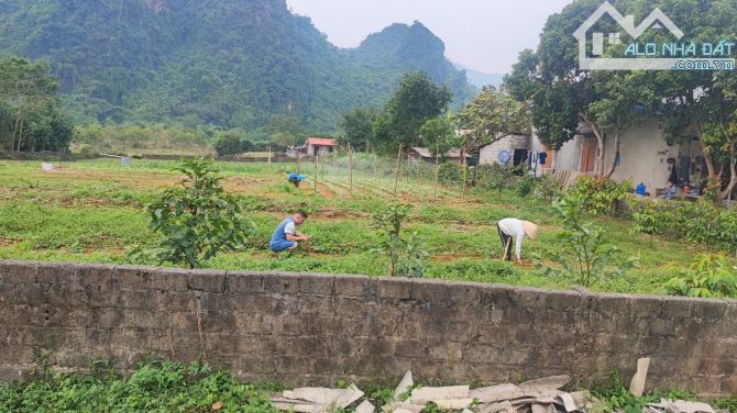 Bán đất bám đường Liên Xã, Cao Dương, Lương Sơn, Hoà Bình 2453m2 - 2