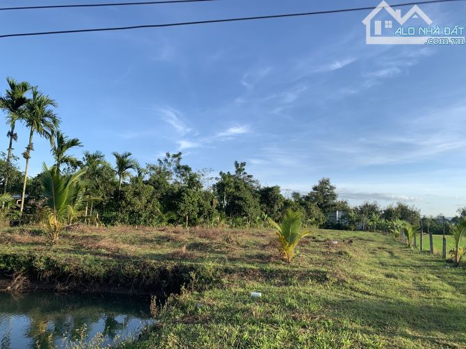 2,4 sào TC400m2 view ruộng sau lưng trường Nơ Trang Long EaTieu 1,2 tỷ sẵn hồ cá - 2
