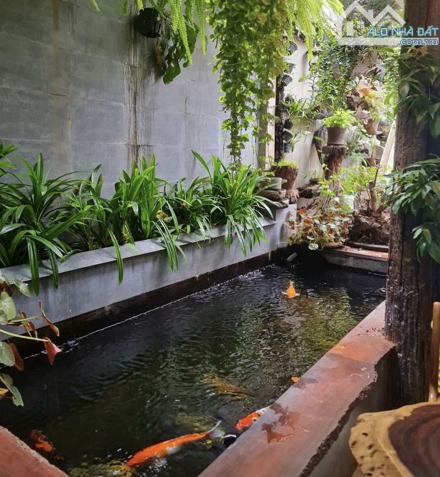 🌈🌟 Mặt Tiền Trần Nhật Duật Đắc Địa- ngay đầu Buôn Ako Dhong (7.5x23m💥14.5 tỷ) - 1