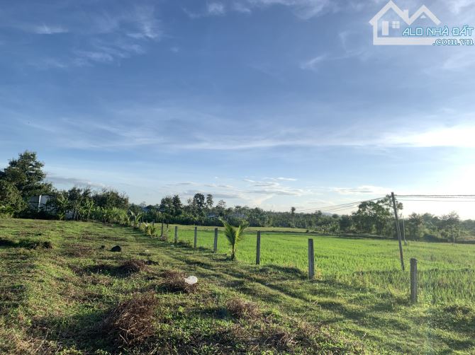 2,4 sào TC400m2 view ruộng sau lưng trường Nơ Trang Long EaTieu 1,2 tỷ sẵn hồ cá - 4
