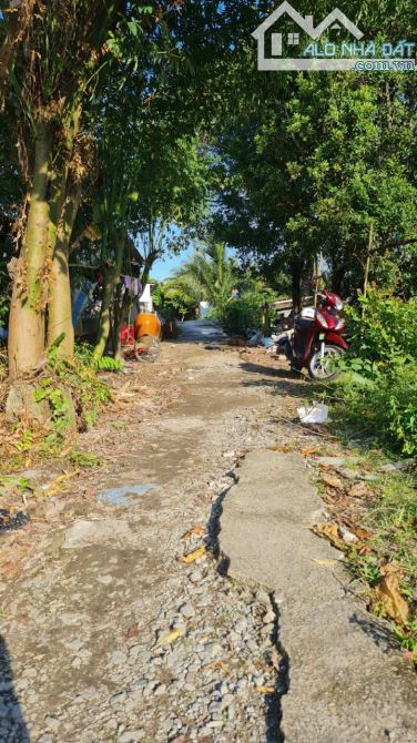 CẦN BÁN NỀN GIÁ RẺ GIÁP RANH P4 VỊ THANH HẬU GIANG