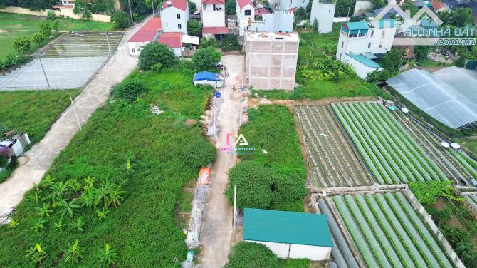 Bán đất đấu giá xã Vân Nội Đông Anh- khu X5 thôn Đông Tây - 1