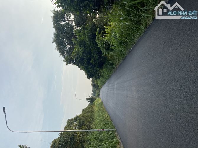 Đất vườn view suối đá mặt tiền đường nhựa. - 1