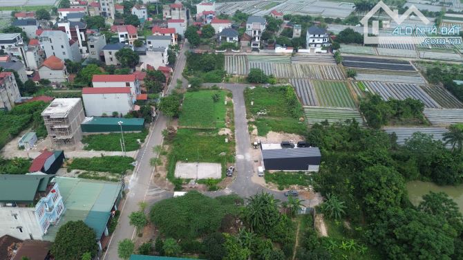 Bán đất đấu giá x4 thôn Đầm Vân Nội Đông Anh - 2