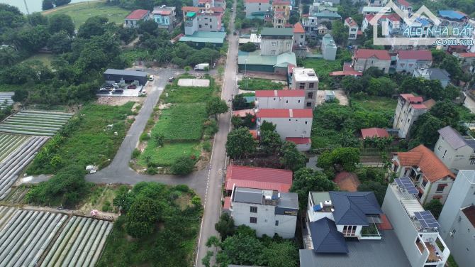 Bán đất đấu giá x4 thôn Đầm Vân Nội Đông Anh - 3