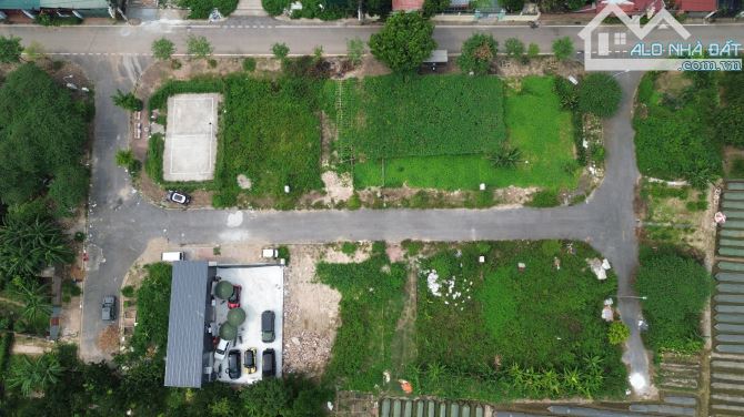 Bán đất đấu giá x4 thôn Đầm Vân Nội Đông Anh - 4