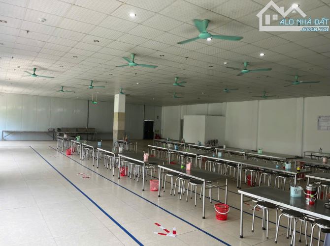 Cho thuê 5.000m2  Nhà máy, kho, xưởng trong KCN Lương Sơn, Hòa Bình. - 5