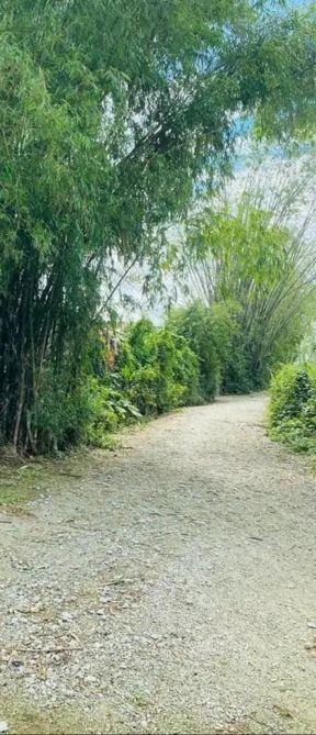 Đất kiệt ô tô Lợi Nông, phường Thủy Châu, Hương Thủy, Huế - 2