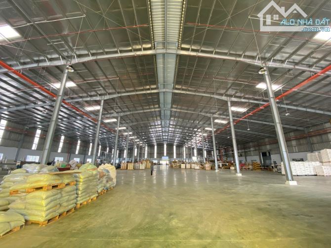 Cho thuê kho xưởng KCN Bến Lức, Long An, KV : 12.000m2, xưởng: 8.000m2 - 1