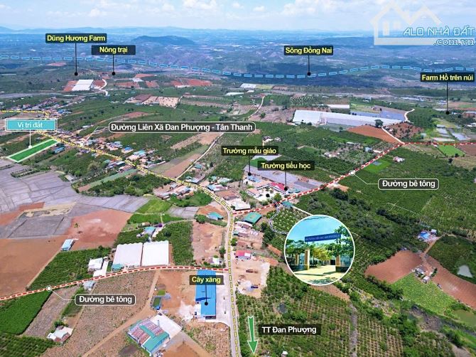 ✨ 2.116m2 17M Mặt đường NHỰA LIÊN XÃ. Gần nút giao Cao tốc Gia Hiệp - Di Linh. GIÁ: 2.2 Tỷ - 2