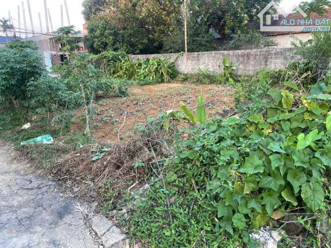Bán Lô Góc 2 Mặt Tiền Tại Thị Trấn Xuân Mai - 210m² Đất Ở Đô Thị, Đường Thông Ô Tô Tránh, - 2