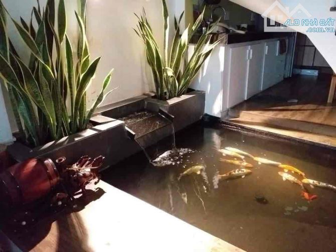 Nhà 3 tầng mặt phố đường Nguyễn Chí Diễu, kinh doanh dòng tiền, bên chợ An Hải Bắc - 6