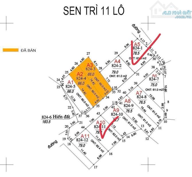 78,5m Sen trì -thạch thất -hà nội - 7