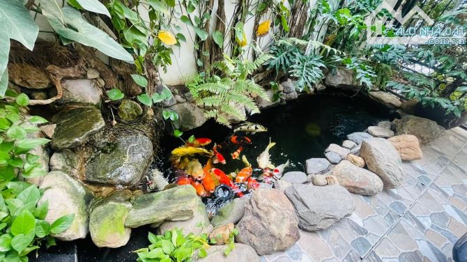 Bán Gấp Nhà Phố Hồng Tiến, 7 Tầng Thang Máy, Ô Tô Tránh Kinh Doanh