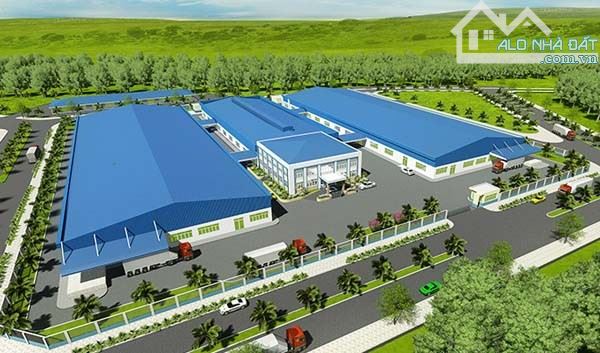 BÁN LÔ ĐẤT TRỒNG CÂY 5.5 HA GIÁ 175T PHƯỚC VĨNH AN HUYỆN CỦ CHI - 1