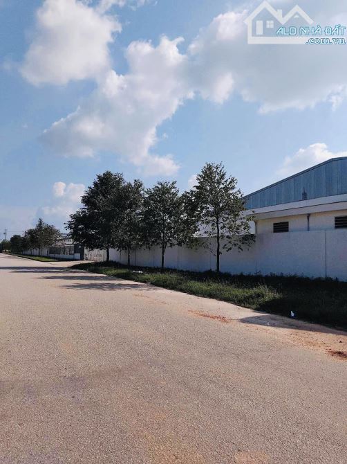 ĐẤT NỀN HUẾ GIÁ RẺ TỪ 6XX TRIỆU ĐỂ ĐẦU TƯ XÂY TRỌ CÔNG NHÂN HOẶC AN CƯ - 2