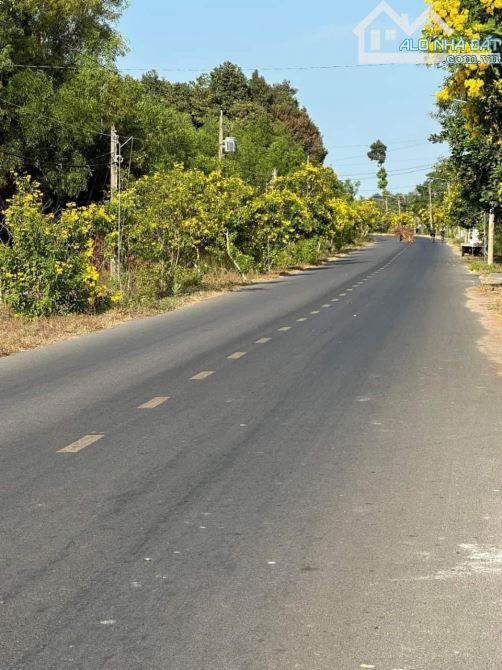 Long mỹ, 2100m2, có 57m mặt tiền nhựa, đối diện uỷ ban xã, có 800 thổ cư giá 15ty - 2