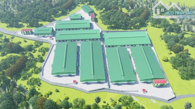 Cho Thuê 8.000m2 Xưởng Mới 100% Ngoài KCN Tân Uyên Bình Dương - 2