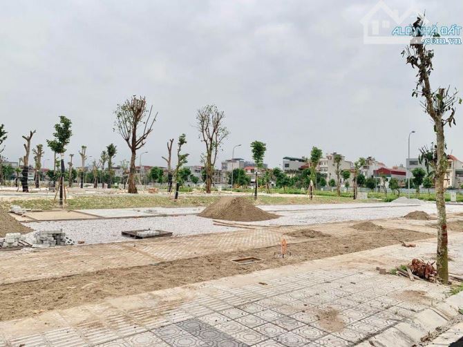 Bán đất khu đô thị Trái Bầu phường Lê Thanh Nghị tp Hải Dương - 2