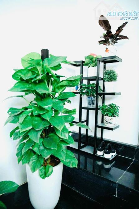🏘🏘CẦN BÁN NHÀ 3 TẦNG MẶT TIỀN TÔN THẤT BẬT, PHƯỜNG AN TÂY - 2