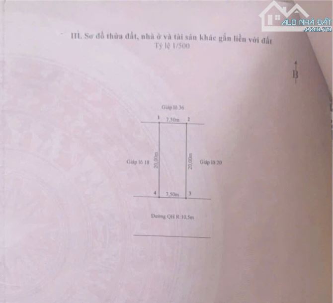 Bán đất Dương Quan khu phân lô Bấc Vang lốc biệt thự ở cực kỳ hợp lý 150m ngang 7,5m giá c - 3